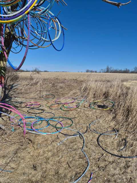 Hula Hoop Tree — photo 2