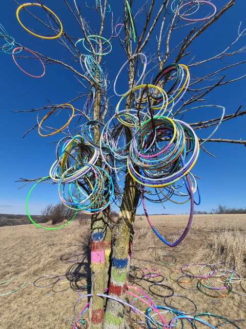 Hula Hoop Tree — photo 3