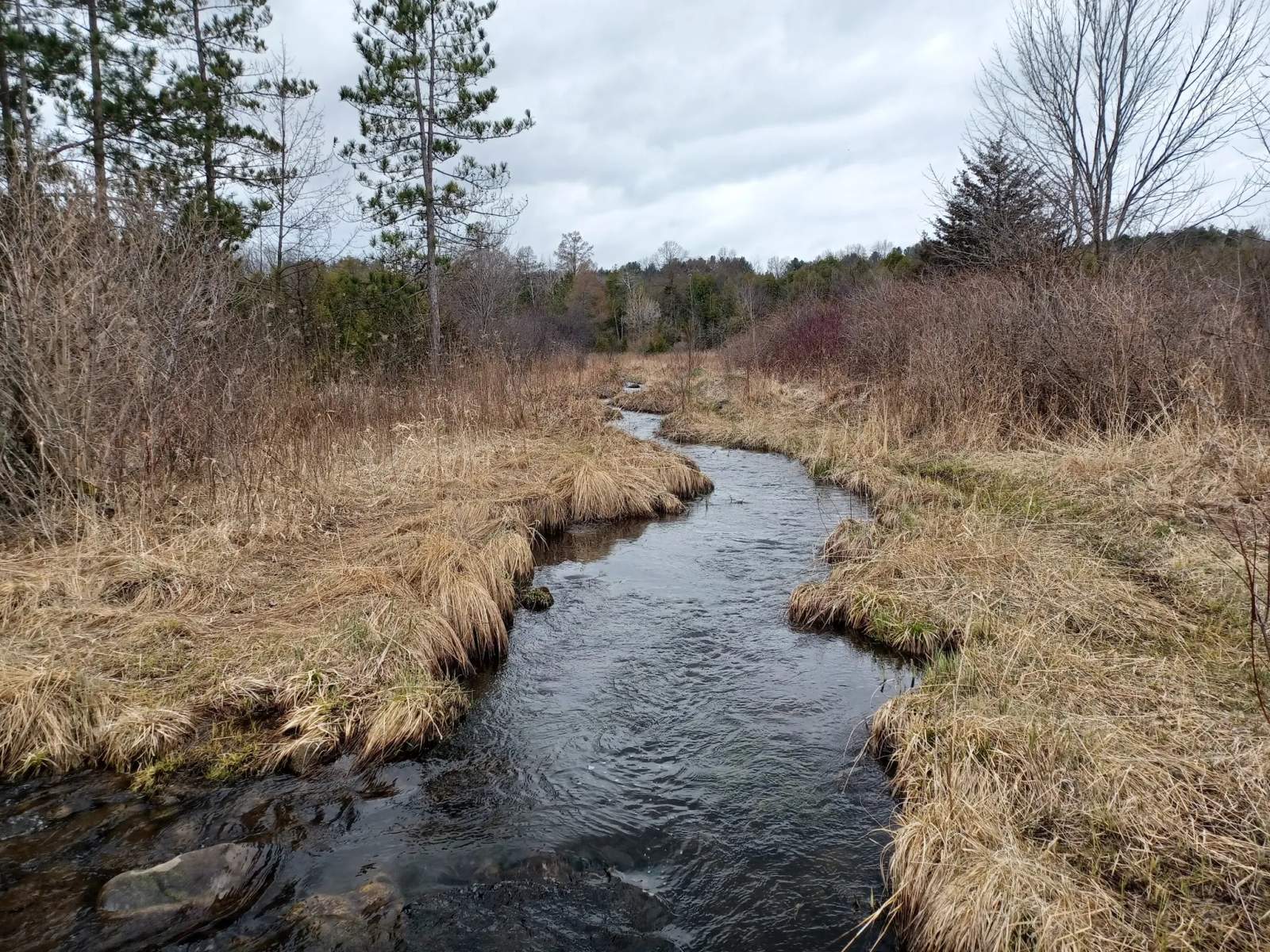 Nichols Creek State Wildlife Area — photo 1