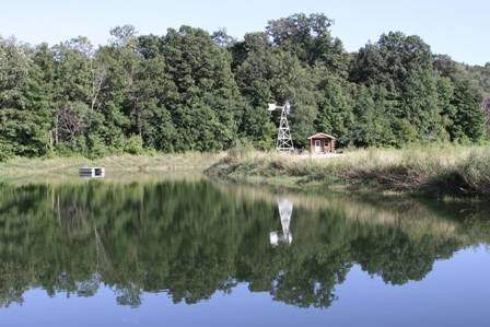 The Inn at Three Ponds & a Stream — photo 3